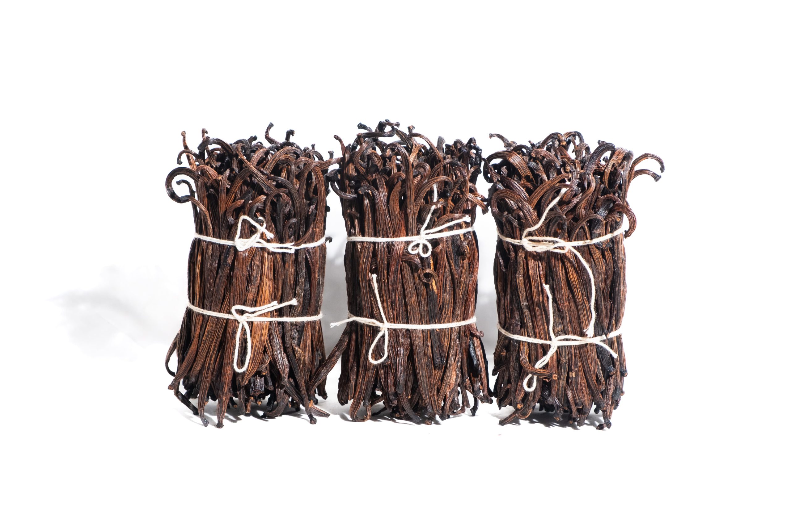 planifolia grade 3-short