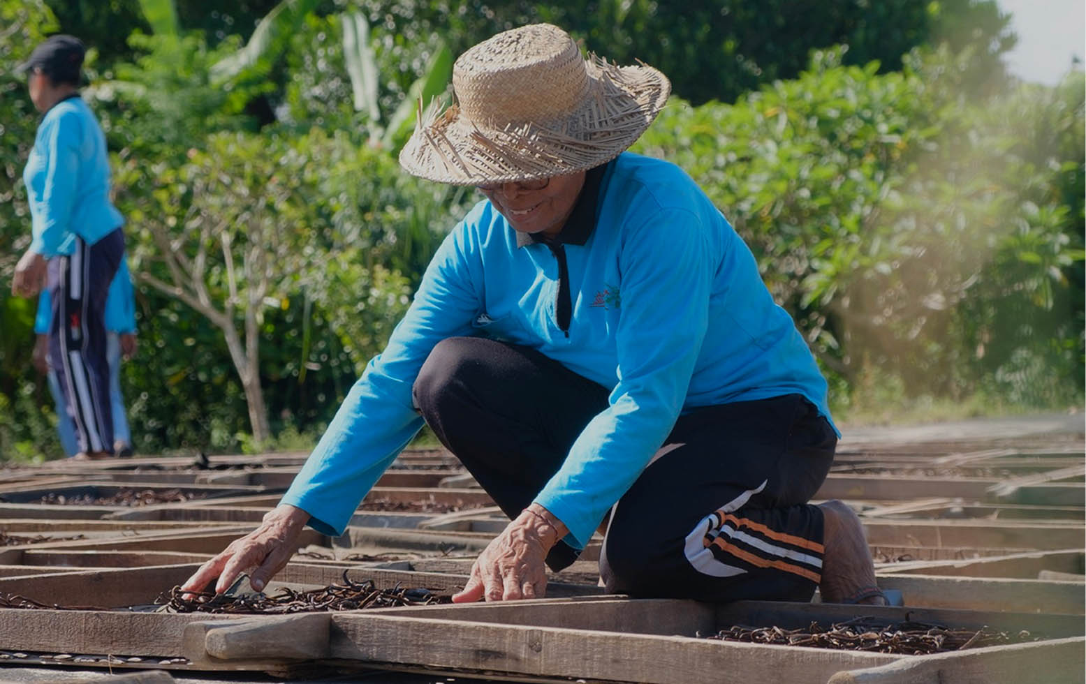 Processing Transforming Raw into Refined