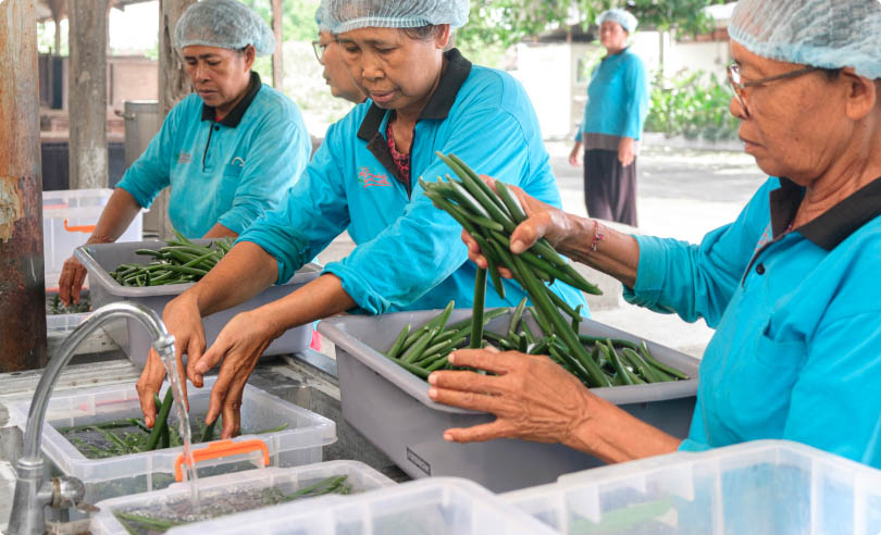 Production Process