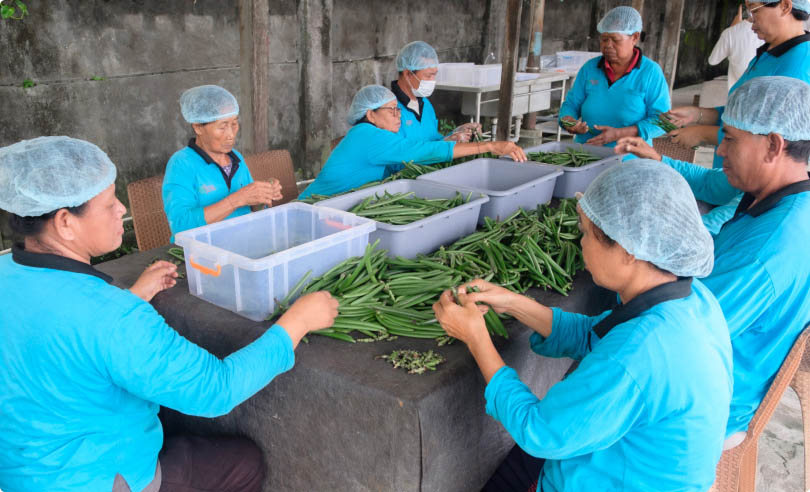 Production Process