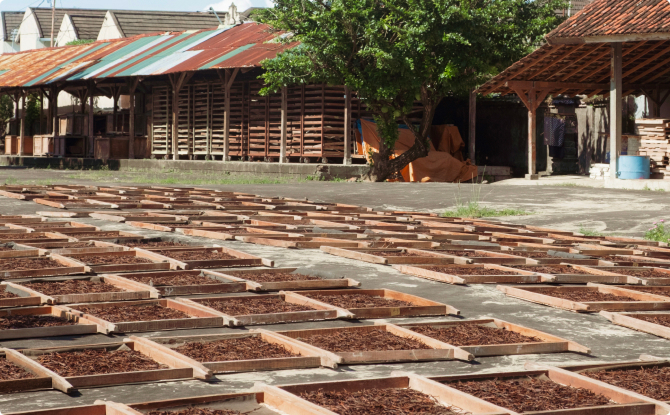 Natural Sun Drying Area