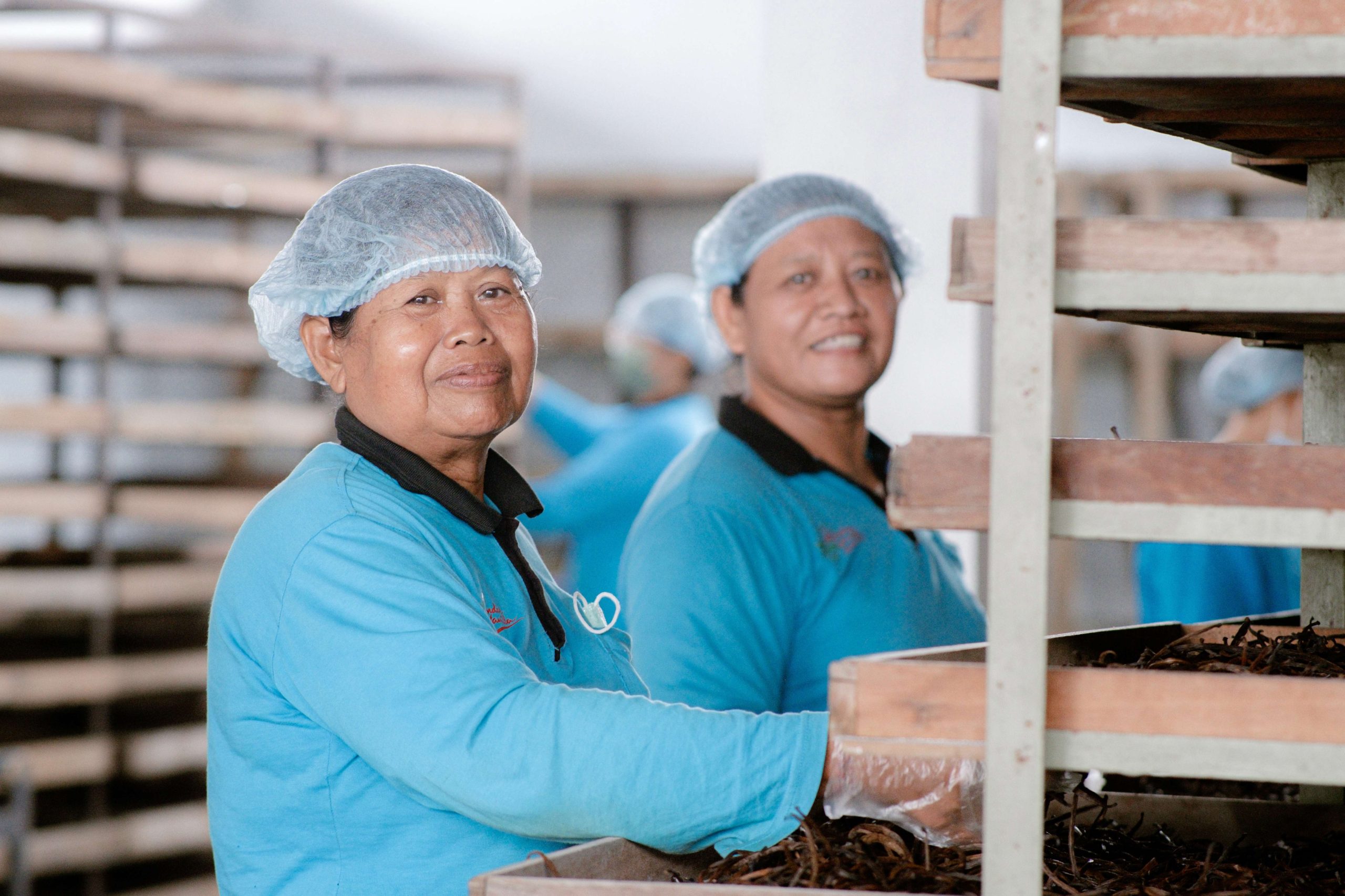 indonesia vanilla