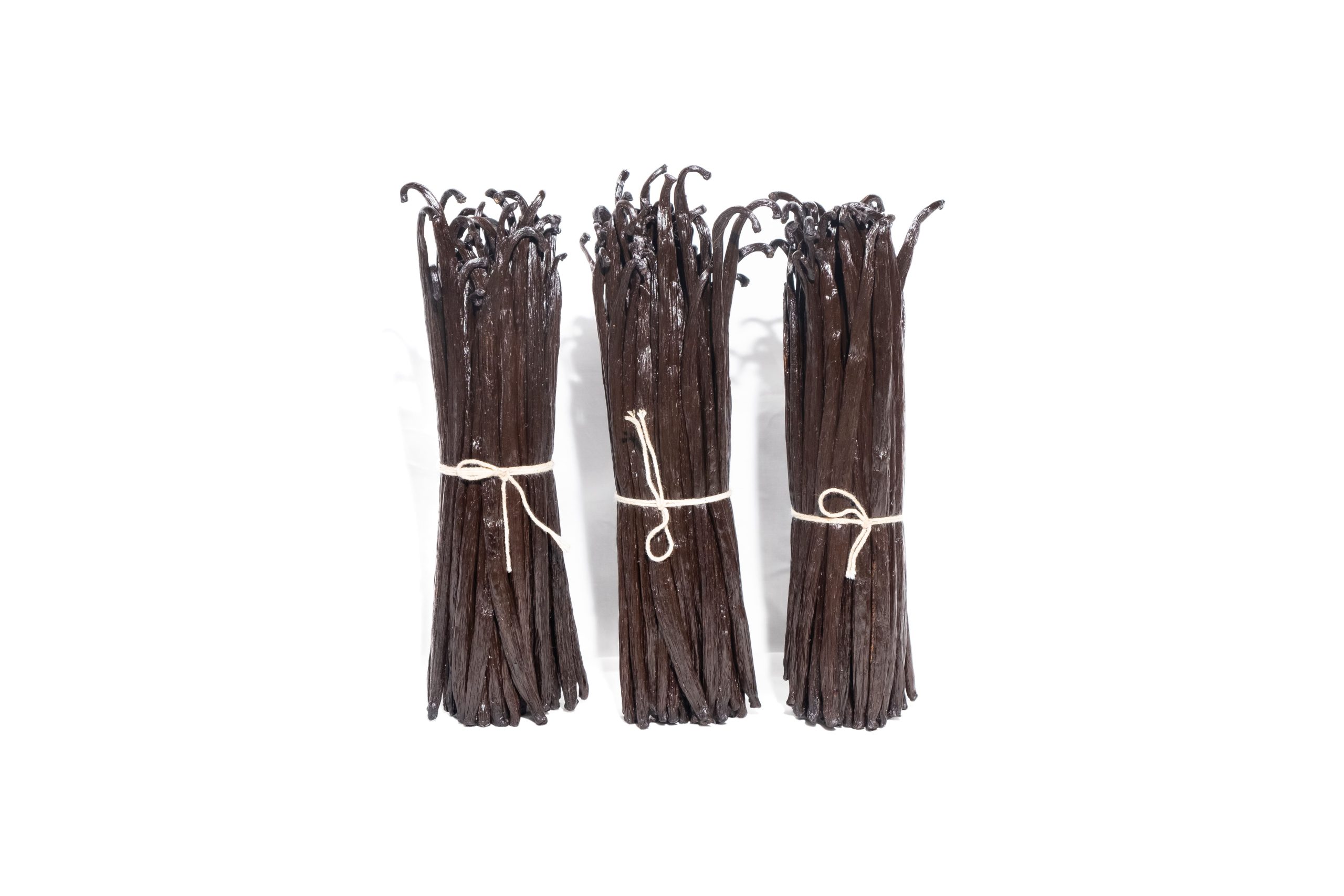 planifolia gourmet