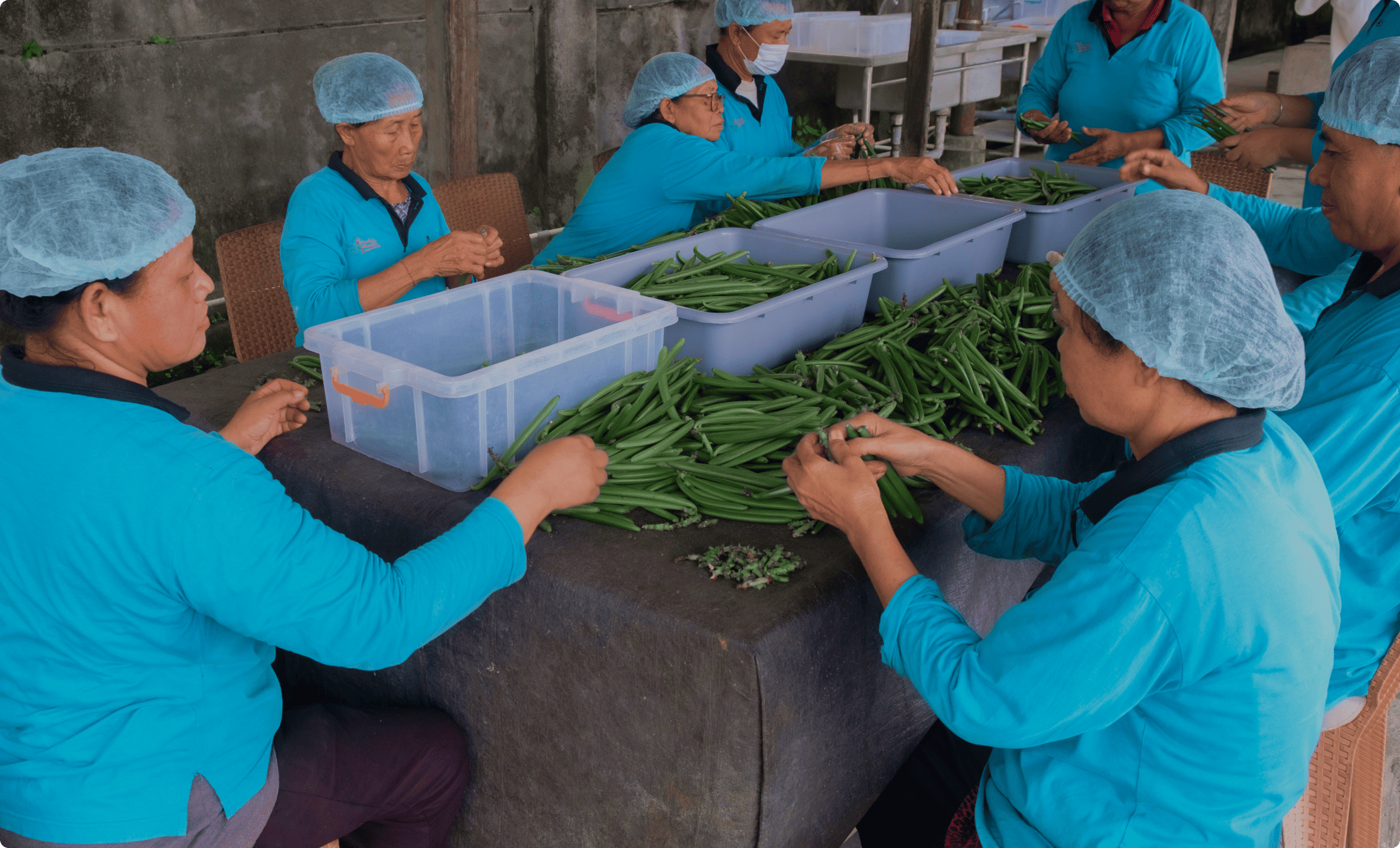 selection and sorting