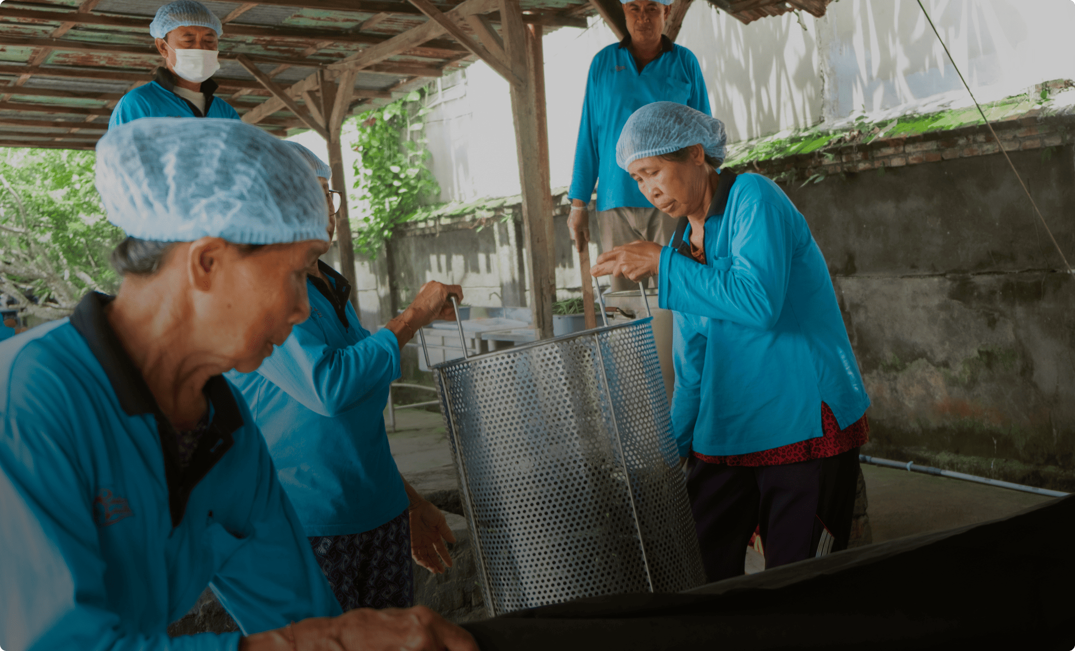 Vanilla beans undergoing the sweating process to enhance aroma and flavor during processing.