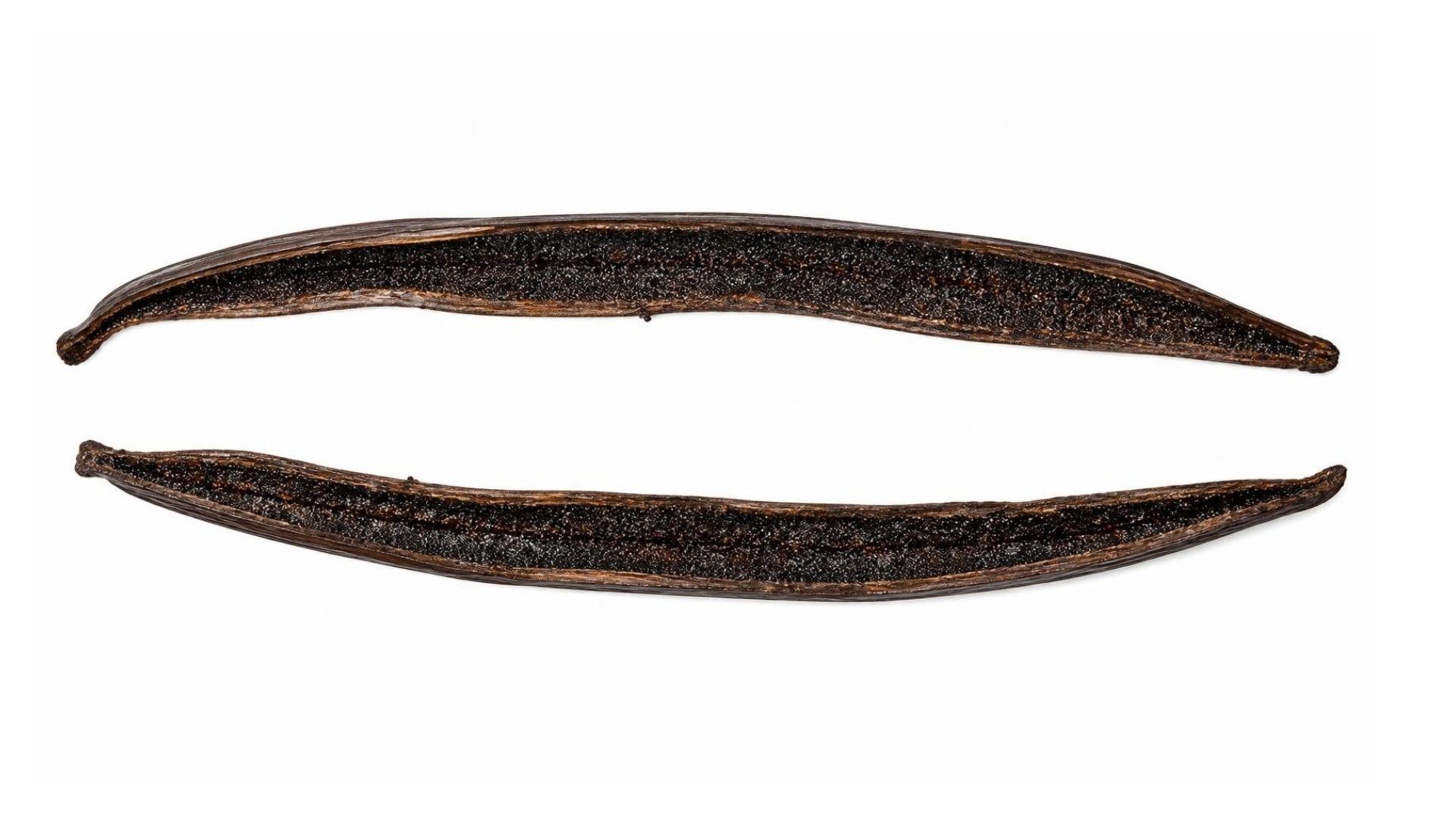 inside vanilla bean pods